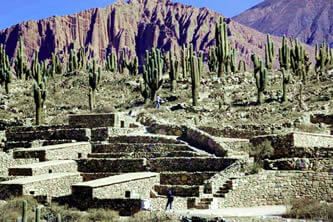 Ruins of Tilcara with cactus and mountains in the background